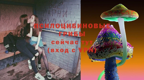 герыч Пересвет