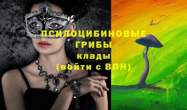 герыч Пересвет