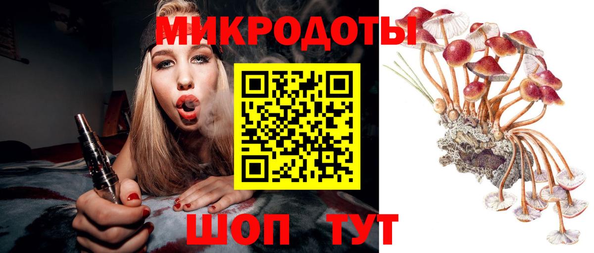 хочу наркоту  Галлюциногенные грибы Magic Shrooms  Вход с VPN  Азов  Псилоцибиновые грибы MAGIC MUSHROOMS 