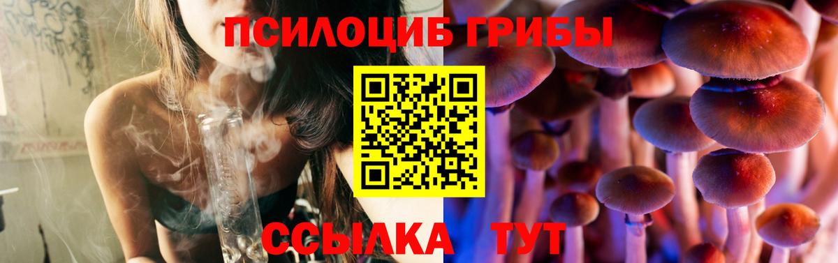 Псилоцибиновые грибы Psilocybine cubensis  Вход с VPN  Азов 